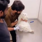 Veterinary Hospital