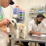 Seeking a trusted veterinary specialist in Karachi? Our team of experts specializes in various fields of veterinary medicine.