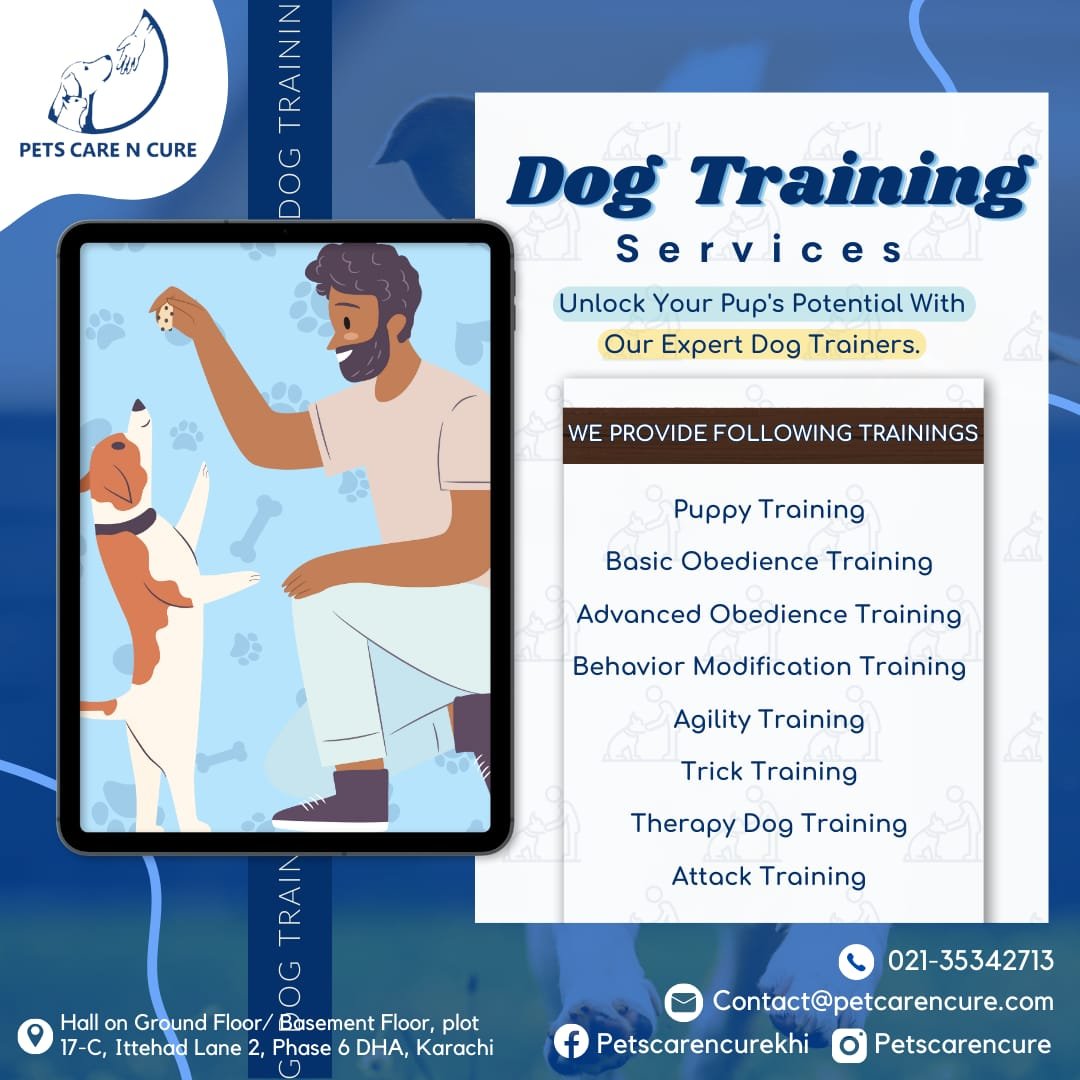 Behavioral issues? Our Pet Care Clinic in Karachi offers professional training services to address your pet's behavior problems. Let's bring harmony back into your home.