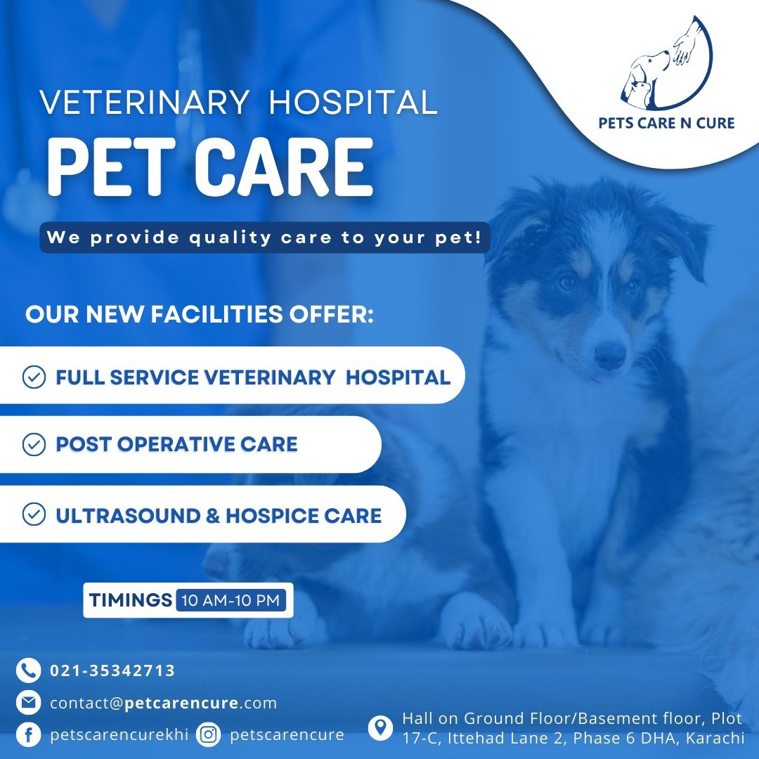 Discover the best Animal Hospital in Karachi for your furry companions. Our compassionate team provides top-notch care and medical services to ensure the well-being of your beloved pets.