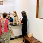 Pet Health Care Karachi