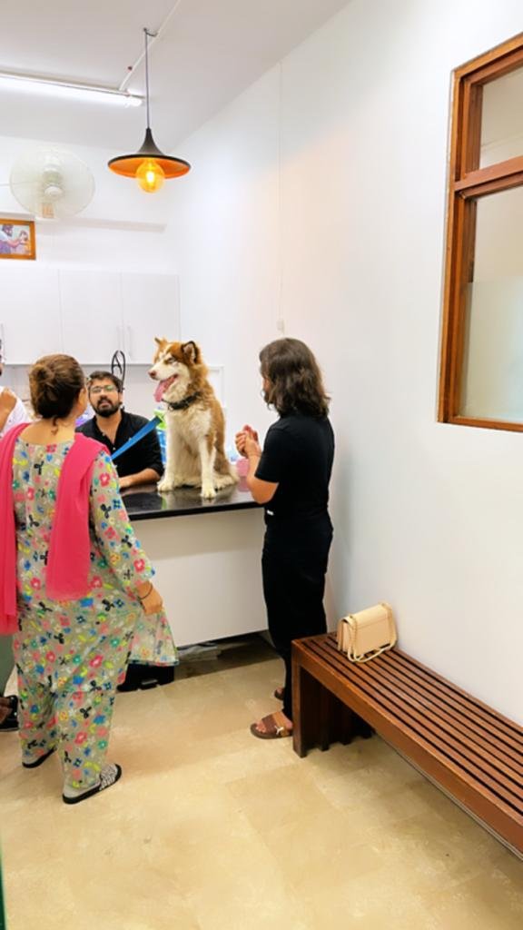 Pet Health Care Karachi