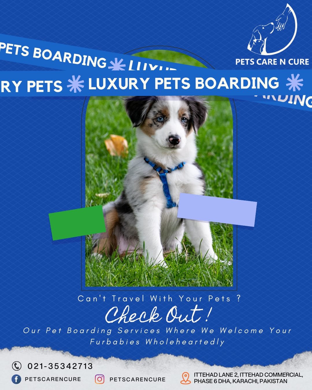 Planning a trip? Trust our Pet Boarding Karachi services to provide a safe and comfortable environment for your pet while you're away. They'll be in good hands!