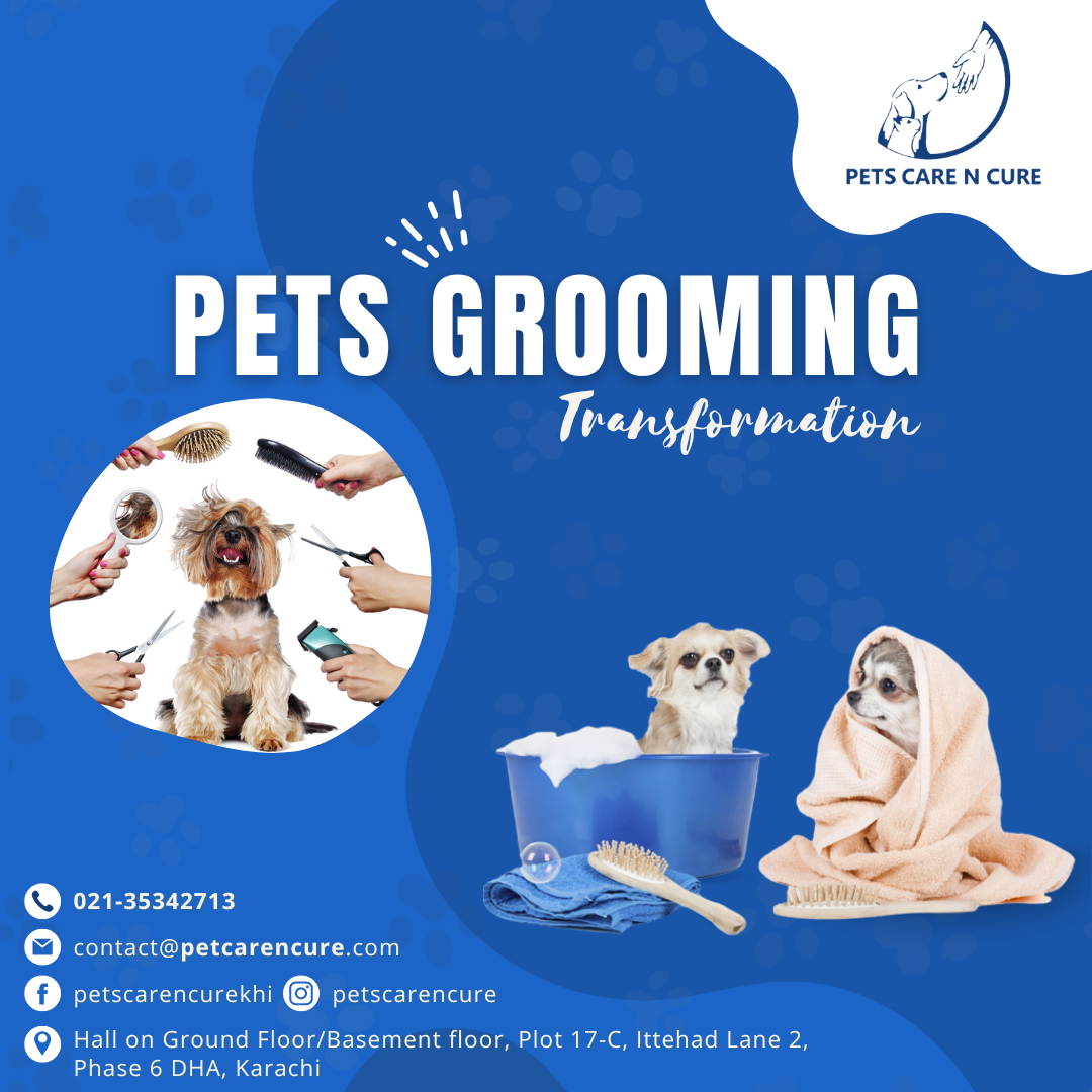 Pamper Your Pooch with Professional Dog Grooming Services. Unleash Their Style and Shine.