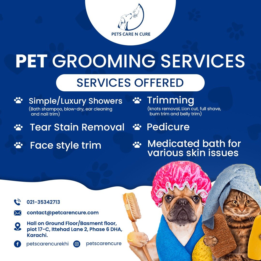 Unleash the Beauty! Experience Top-notch Dog Bathing and Grooming Services Tailored for your Four-legged Friend.