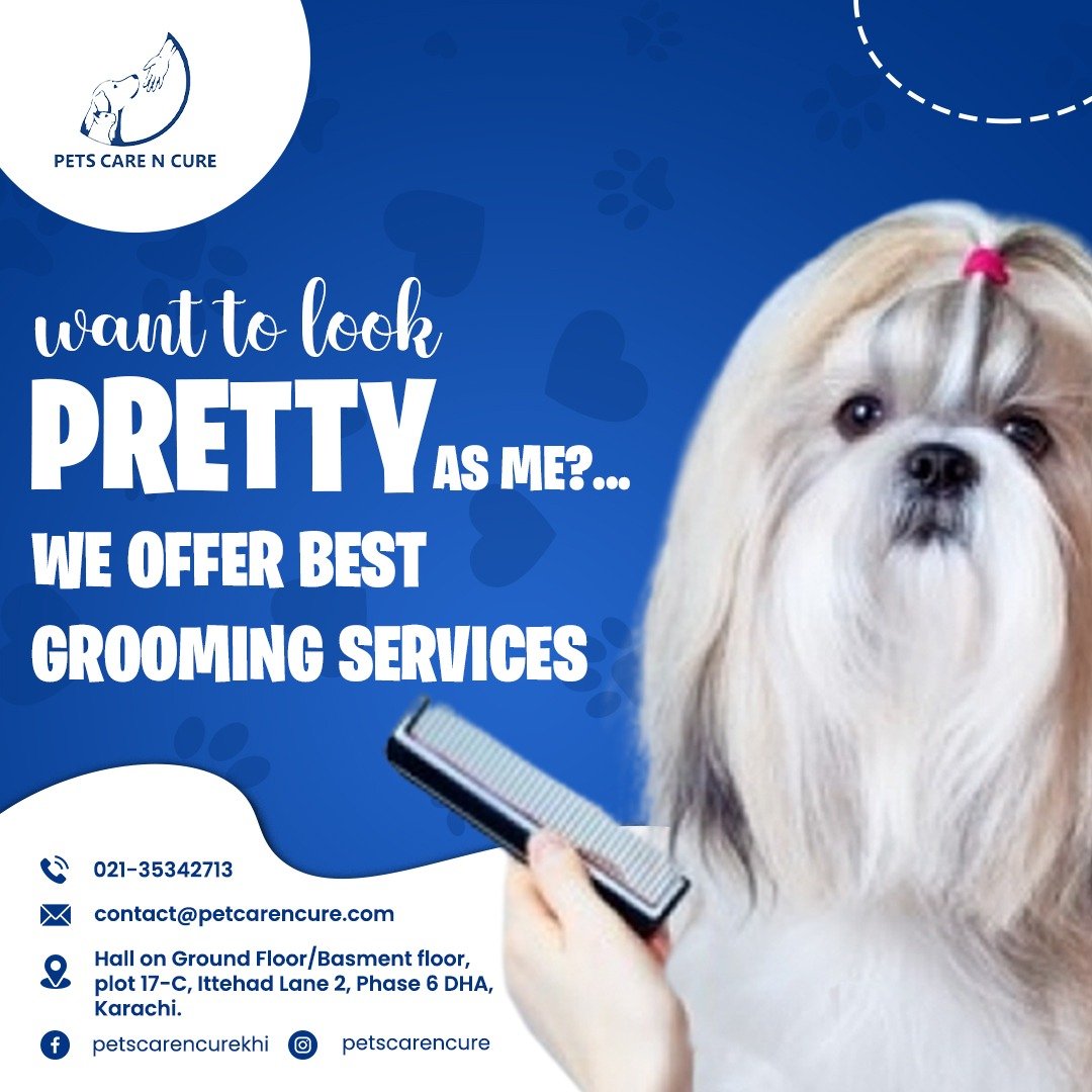 Pet Grooming Services