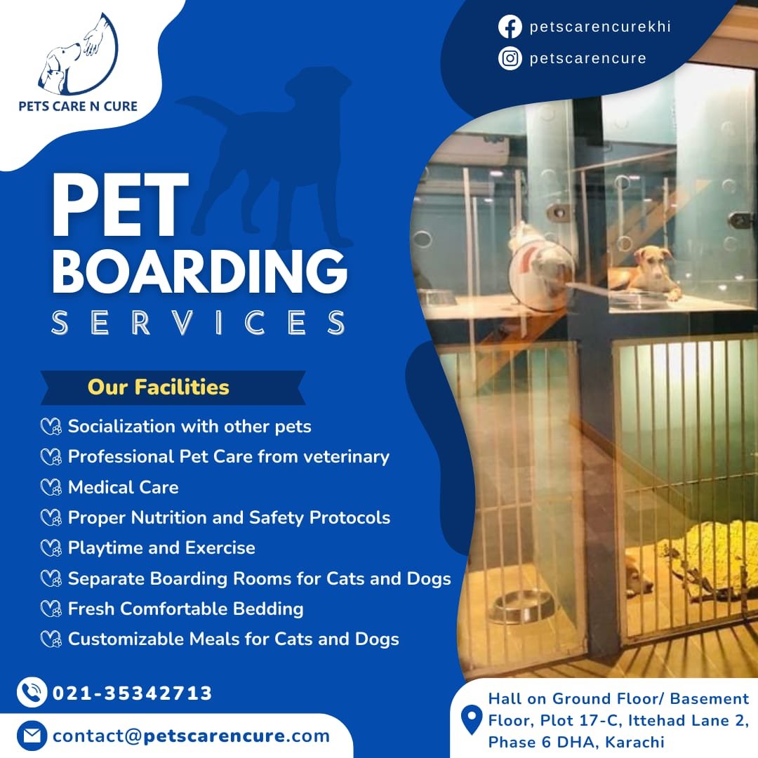 Searching for Boarding Services Near You? Look no further! Our premium boarding services offer a comfortable and safe environment for your beloved pets.