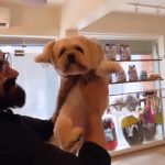 Exceptional Pet Care Services in Karachi! Our devoted veterinarians are ready to cater to your beloved companions' well-being.