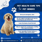 Pet Health Care Tips for Happy Fur-babies! As a Veterinary Care Expert in Karachi, we care deeply for your pets.