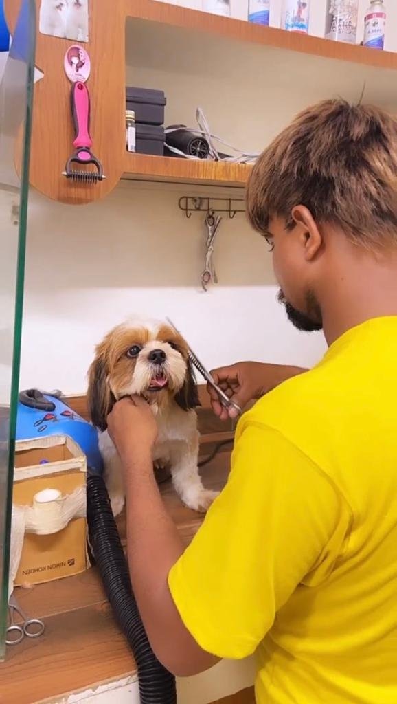 Professional Pet Grooming. Treat them to a spa day. Book now for a happier, healthier pet!