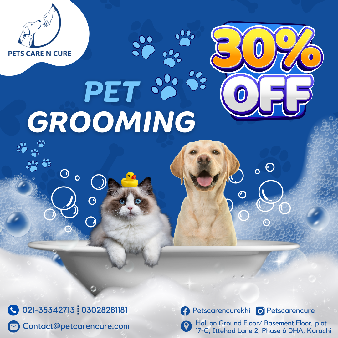 Our vet clinic offers a fantastic 𝟑𝟎% 𝐨𝐟𝐟 𝐨𝐧 𝐏𝐞𝐭 𝐆𝐫𝐨𝐨𝐦𝐢𝐧𝐠 𝐒𝐞𝐫𝐯𝐢𝐜𝐞𝐬 ( Dog Grooming, Cat Grooming, Puppy Grooming, Kitten Grooming) for your beloved furry friends!