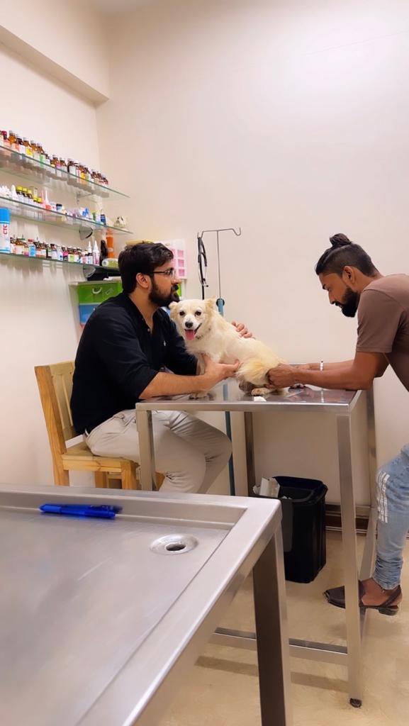 Top pet hospital in Karachi with expert vets, compassionate care, modern facilities, and 24/7 emergency services.
