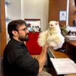 Pets Grooming in Vet Clinic in
